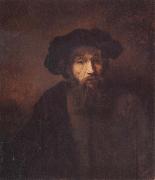 REMBRANDT Harmenszoon van Rijn A Bearded Man in a Cap Sweden oil painting artist
